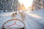 Last-Minute-Flüge: Lappland, Finnland [Jan.-Feb.] ab Düsseldorf nach Kittala mit Eurowings ab 140€ für Hin- & Rückflug