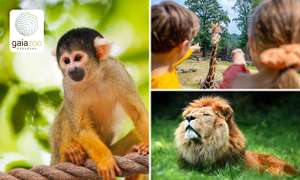 (SocialDeal) Gaia Zoo Kerkrade/NL bei Aachen (3-9 Jahre 12 Euro)