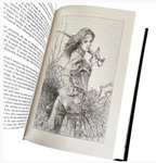 The Complete Chronicles Of Conan: Centenary Edition by Robert E Howard | gebundene englische Ausgabe mit Illustrationen