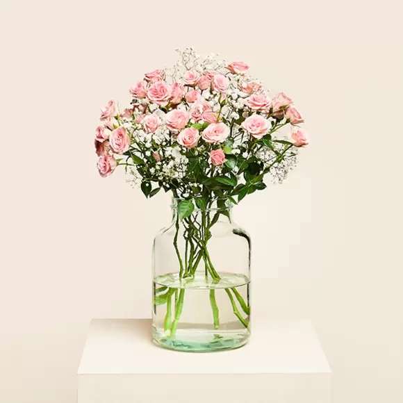 Verzweigte rosa Rosen und Schleierkraut inkl. gratis Vase und Grußkarte