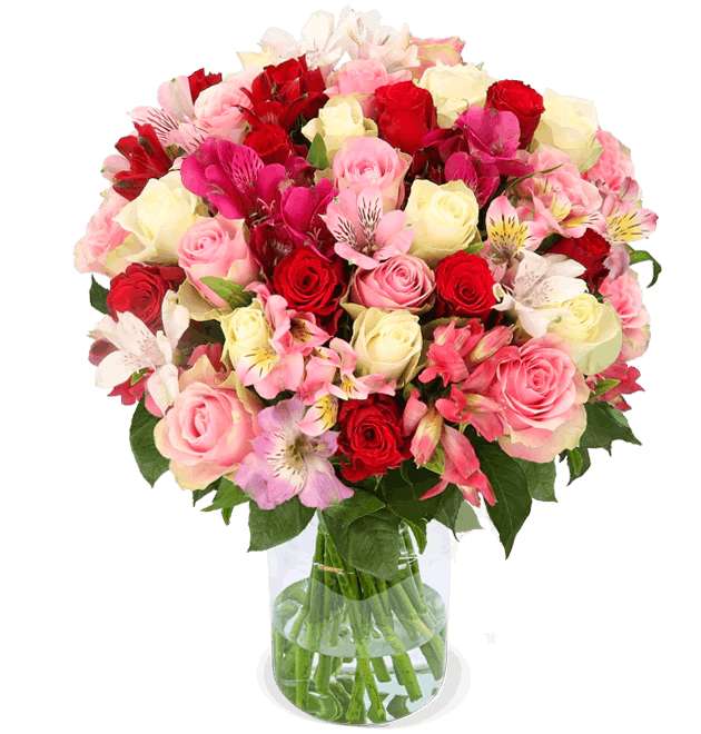 30 Stiele Amelie Blumenstrauß mit bis zu 100 Blüten | bestehend aus pinken, weißen und roten Rosen + Inkalilien | 7 Tage-Frischegarantie