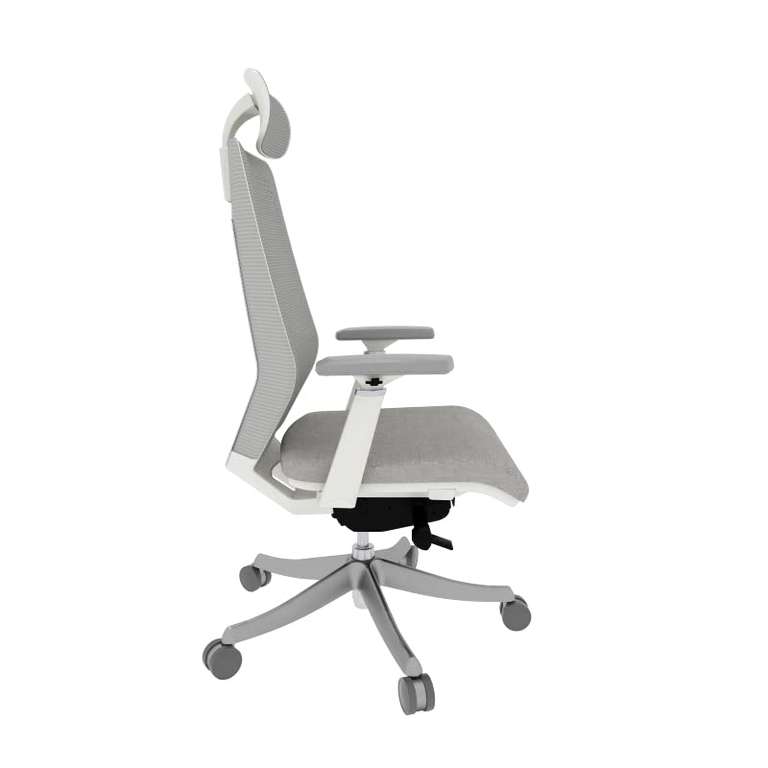 Flexispot 15% Rabatt auf alle Stühle, z.B. BackSupport Bürostuhl BS11 (Max. Belastbarkeit: 350 Kg) oder BS10 für je 322,99€