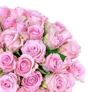 40 pinke Rosen (40cm) für 19,99€ + 5,99€ Versand