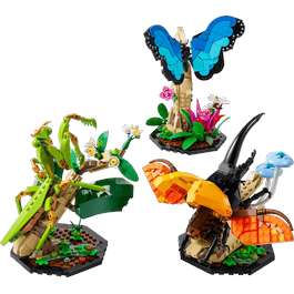 (Bestpreis) LEGO Ideas 21342 Die Insektensammlung + Füllartikel