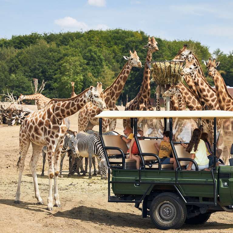 Safaripark Beekse Bergen: 2 Tagestickets 30€ für 2 Personen | Hotel optional zubuchbar | Niederlande