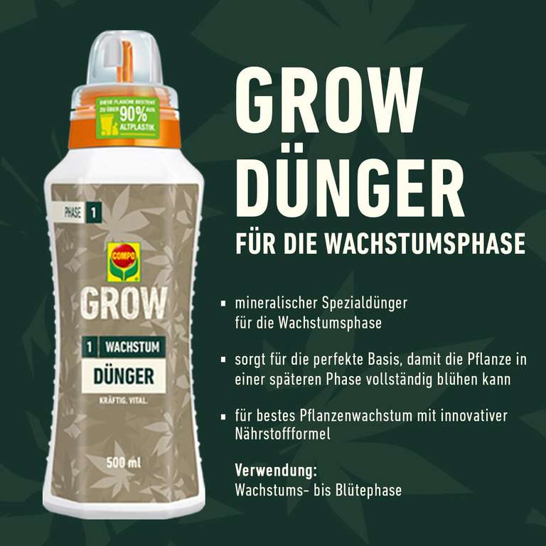 trockenblumen saatgut Saatgutpaket „Trockenblumen“ – trocknen und behalten
