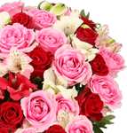 30 Stiele Rosenwunder XXL mit bis zu 100 Blüten für 2,98€ inkl. Versand (statt 40€)