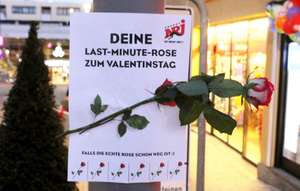 [Ludwigsburg, Lokal] gratis Last-Minute-Rose zum Valentinstag