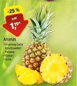 [ALDI SÜD] Ananas im Angebot ab 29.04
