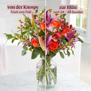 Blumenstrauss Laura mit 22 Lilien, Rosen für 15€ inkl. Versand (Bloom and Wild)