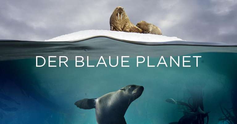Der Blaue Planet | kostenlos im Stream [ARD]