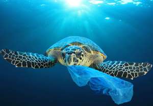 Dokumentation: Plastic Planet - Kostenlos im Stream