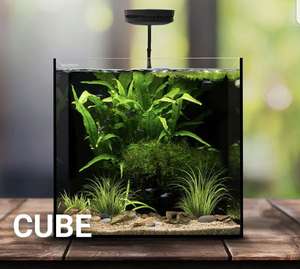 Waterbox Cube Aquarium 10 für 159,99 €, Starphire Ultra Clear Glas, Kölle Zoo