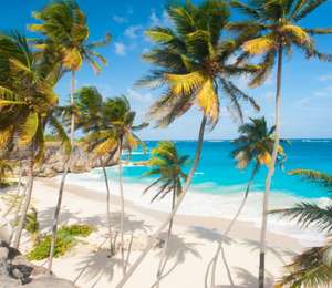 Flüge: Barbados / Karibik (Okt-März) Hin- und Rückflug mit KLM von Berlin, Bremen, Hannover, Nürnberg, München, Frankfurt (...) ab 437€
