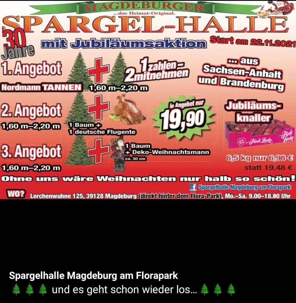 Lokal Magdeburg Nordmann Tanne Weihnachtsbaum für 10€ das Stück