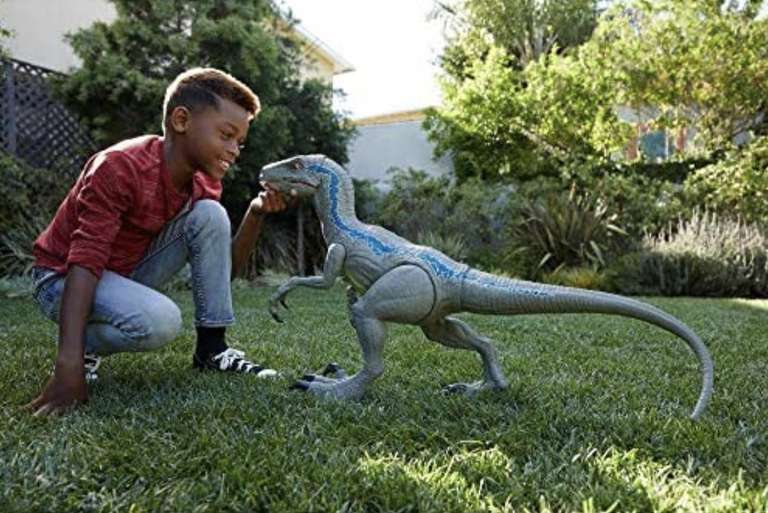 Mattel Jurassic World GCT93 - Riesendino Velociraptor Blue 106cm [amazon prime]