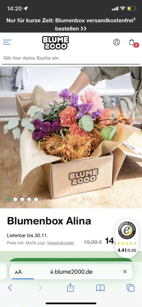 Blumenbox Alina 10€ inkl. Versand