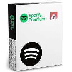 Spotify Premium Individual 12 Monate