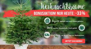 Gärtner Pötschke - Weihnachtsbäume 33% reduziert, z.Bsp. Nordmanntanne frisch geschlagen 175-200 cm, 4%Shoop nicht vergessen