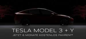 Tesla Model 3 und Y sechs Monate kostenlos fahren durch Rückkauf