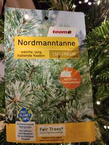 [Lokal Detmold] Nordmanntanne Weihnachtsbaum