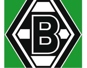 Borussia Mönchengladbach Trikot Saison 2013/2014 [33% reduziert auf 49,95€]