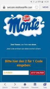 Monte code