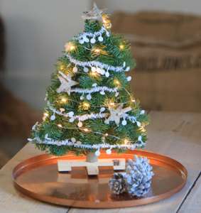 Advent, Advent: ein Weihnachtsbaum per Post für 11,95€ von [Bloompost]