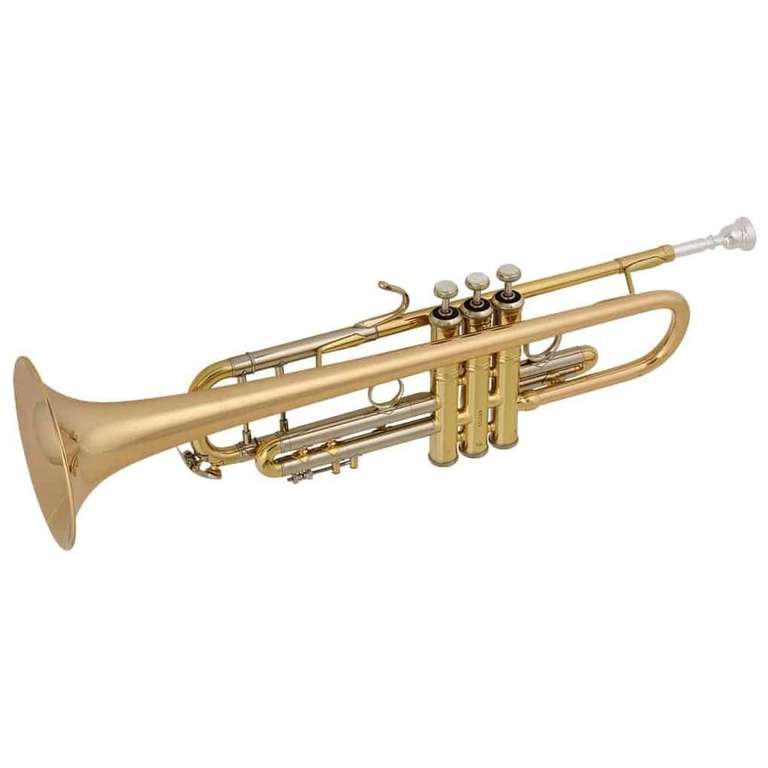 Blasinstrumente Sammeldeal (7), z.B. Pearl Flute PF-F665 E Forza Premium Select Querflöte inkl. Tasche [Session]