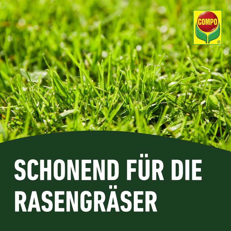 kalender mit saatgut Wachsender Kalender (Tausendsassa)  Pflanzpaket