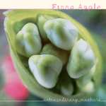 Fiona Apple – Extraordinary Machine (2LP) (Vinyl) [prime]