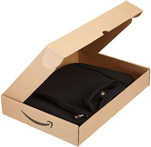 [Prime] Amazon Basics Netbook- und iPad- Tasche für Größe 17,8 - 25,4 cm (7 - 10 Zoll) mit Tragegriff