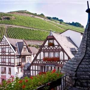 Weinregion Rheingau: 2 Nächte im Hotel mit Weingut inkl. Frühstück, 1x 3-Gang-Dinner | Berg's Alte Bauernschänke | 198€ für 2 | bis 15. Aug.