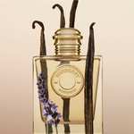 (Galeria Filiabholung) Burberry Goddess Eau de Parfum 100ml 76,79€ / 50ml 54,39€
