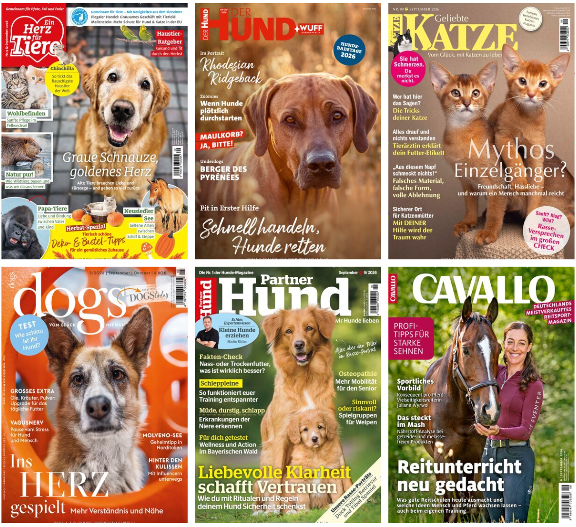 6 Tiermagazin Abos, z. B. Geliebte Katze für 27 € | Partner Hund für 28,80 € // dogs, Cavallo, Der Hund, Ein Herz für Tiere