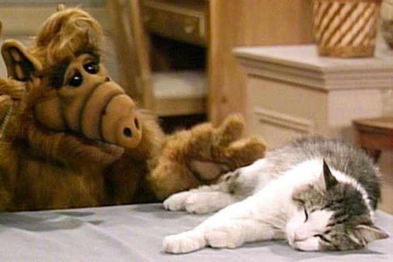 [Amazon Prime] Alf (1986-1991) - Komplette Serie - DVD - IMDB 7,4