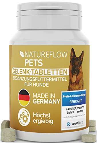Gelenktabletten Hunde – Made in Germany mit Grünlippmuschel, MSM und Teufelskralle - Keine Kapseln, hohe Akzeptanz - 100 Stück - prime