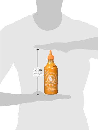 Flying Goose Sriracha Mayoo Sauce - Mayonnaise, würzig scharf, orange Kappe (1 x 455 ml) (4,52€ möglich) (Prime Spar-Abo)