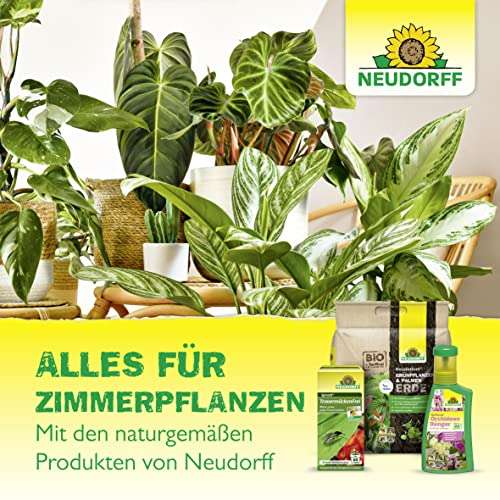 Neudorff Gelbsticker gegen kleine fliegende Schädlinge wie Trauermücken, insektizid frei, geruchlos, 10 Stück (Amazon Prime)
