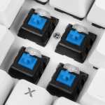 Sharkoon SKILLER SGK3 White, Gaming-Tastatur (weiß, DE-Layout, Kailh Blue)