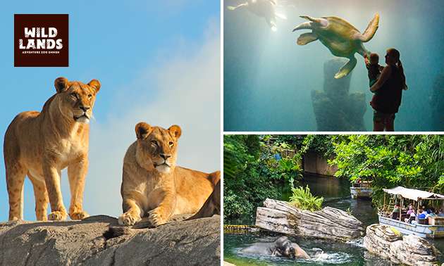 Tageseintritt für WILDLANDS Adventure Zoo Emmen (Niederlande) bis 30.06.2022 einlösbar