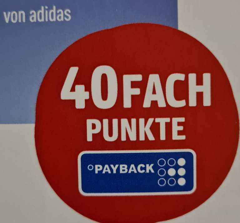 DM 2 x 40Fach Payback Punkte auf Adidas Duschartikel und Roll-on Deos für Damen bis zum 18.12