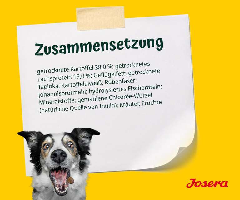 JOSERA Lachs & Kartoffel (1 x 12,5 kg) | getreidefreies Hundefutter