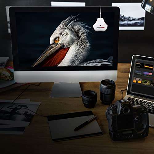 Datacolor SpyderX Elite: Monitorkalibrierung für eine genaue Farbwiedergabe entwickelt für Experten, Profi-Fotografen