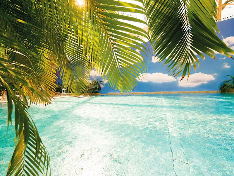 Tropical Islands: Gratis / Freier Eintritt für Kinder & Teens (4–17 Jahre) vom 13.–19.07.2026 – buchen bis 12.07.