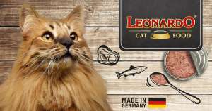 LEONARDO Probierboxen für eure Katzen, z.B. Superior Selection 800Gr.