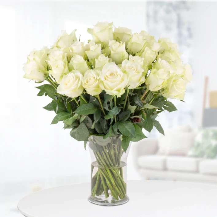 40 weiße Rosen (40cm) für 25,90€ @Blumenshop