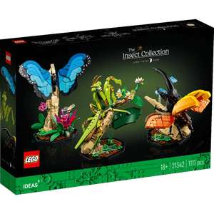 LEGO Ideas 21342 Die Insektensammlung + LEGO Duplo 30327 Meine erste Ente