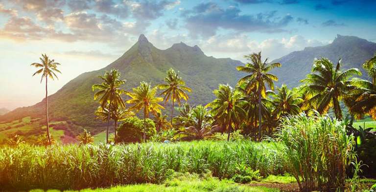[Saudia Business Class] Flüge von MUC & FRA nach Mauritius (Hin- und Rückflug) | September - März (VGP ca. 2400€)