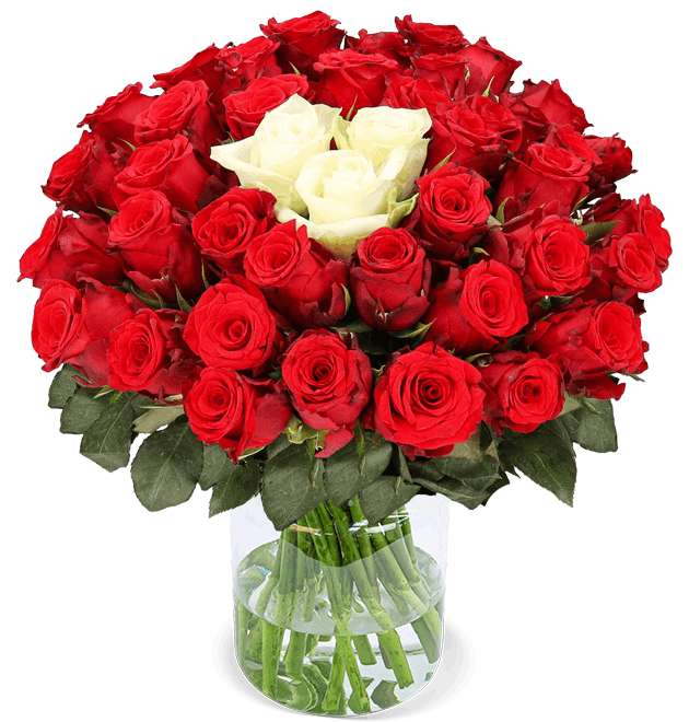 50 Rosen - Sweetheart | 47 rote Rosen + 3 weiße Rosen | 7 Tage-Frischegarantie